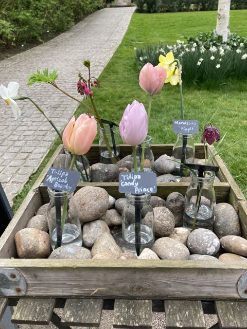 Secret Gardens of London Private Tour - Potential Drawbacks and Considerations