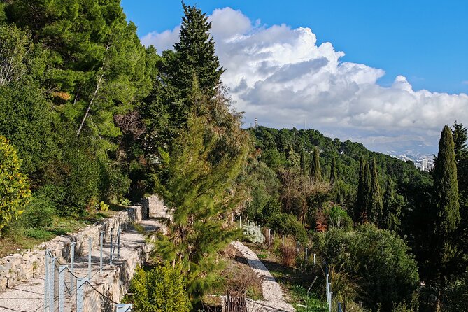 Secret Marjan Park Hiking Tour in Split - Discover Marjan Park’s Natural Beauty and Heritage
