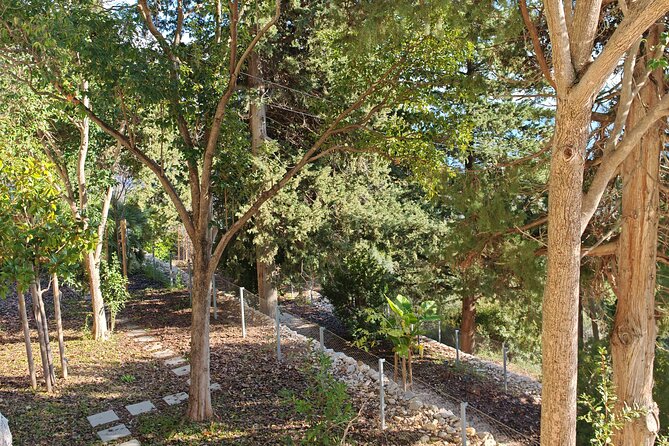 Secret Marjan Park Hiking Tour in Split - Secret Marjan Park Hiking Tour in Split: An Authentic Scenic Escape