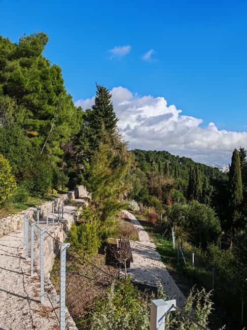 Secret Marjan Park Hiking Tour in Split - From the Old Town to the Pine-Shaded Trails