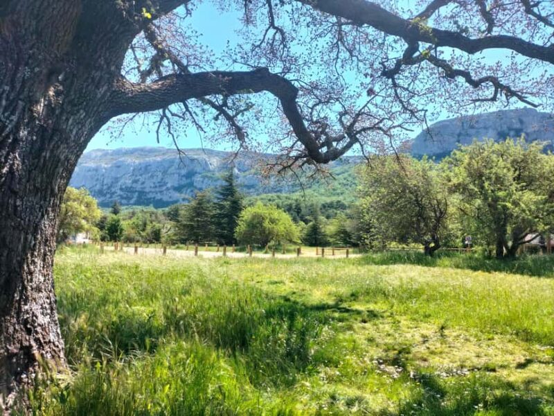 Secret Provence on Mary Magdalenes Path - Practical Details and Logistics