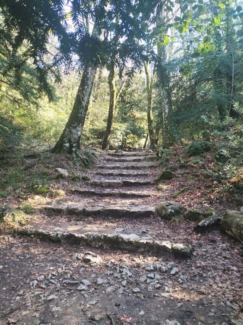 Secret Provence on Mary Magdalenes Path - Who Will Enjoy This Tour Most?