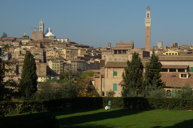 Secret Siena Walking Tour - Accessibility, Physical Requirements, and Tour Comfort