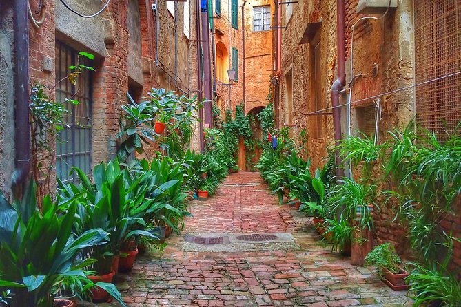 Secret Siena Walking Tour - Flexibility and Cancelation Policy