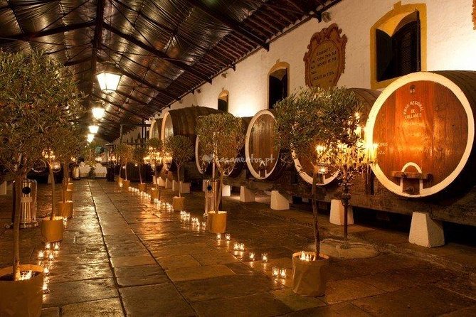 Secret Sintra: Tour with Palácio da Pena & Regaleira - The Convenience of Private Transport and Onboard Amenities