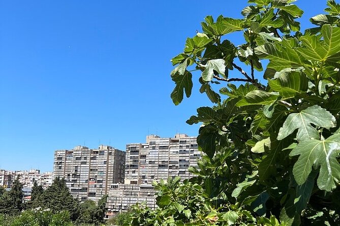 Secret Split: Socialist Architecture & brutalism - Urban Utopia - The Unique Focus on Socialist Modernism in Split
