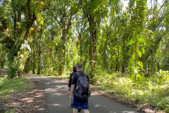 Secret Tide Pool Hike - Jungle & Coast - Private - The Guide’s Role During the Tour