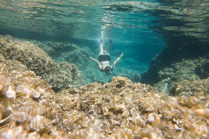 Secret Tide Pool Hike - Jungle & Coast - Private - Accessibility and Physical Fitness Requirements