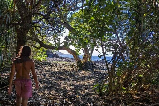 Secret Tide Pool Hike - Jungle & Coast - Private - What to Bring for a Successful Trip