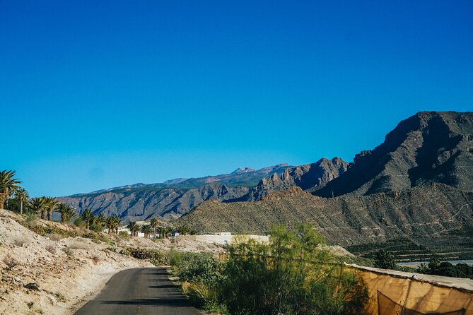 Secret Volcano Tour by Tuk Tuk in Costa Adeje - Starting Point at Hotel Best Jacaranda