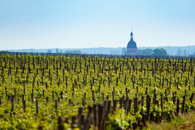 Secrets of Bordeaux Self Guided Tour - Explore Innovative Urban Spaces: Skatepark Le Hangar Darwin