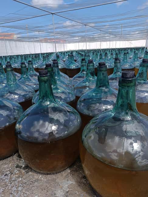 Secrets of Dorado Wine - Exclusive Wine Tastings: De Alberto Dorado and Dorado Dulce