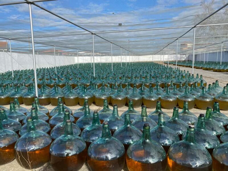 Secrets of Dorado Wine - Why This Tour Offers a Unique Taste of Ruedas Heritage