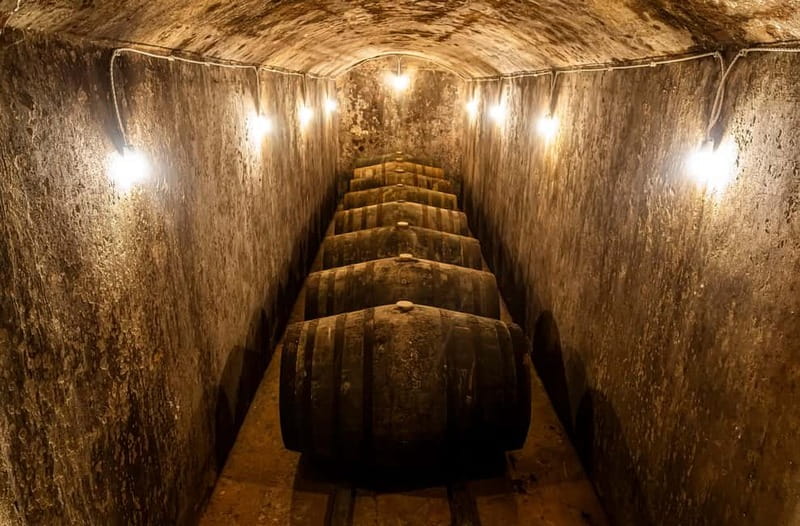 Secrets of Dorado Wine - Frequently Asked Questions