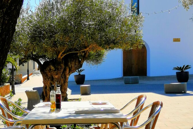 Secrets of Ibiza - Car tour in 8 hours - Comparing Costs and Alternatives