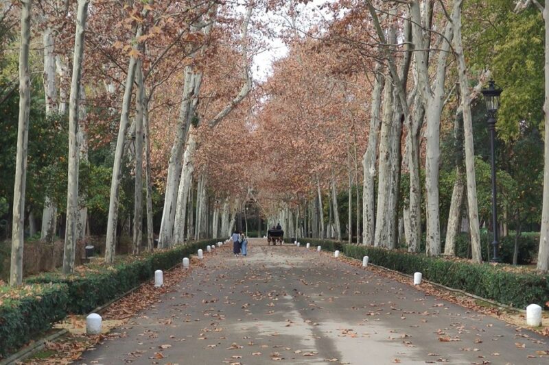 Secrets of Maria Luisa Park and Plaza de Espana - Detailed Stops and What You’ll Encounter