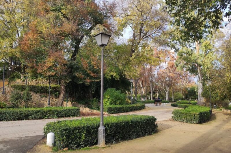 Secrets of Maria Luisa Park and Plaza de Espana - Why Choose This Tour Over Others