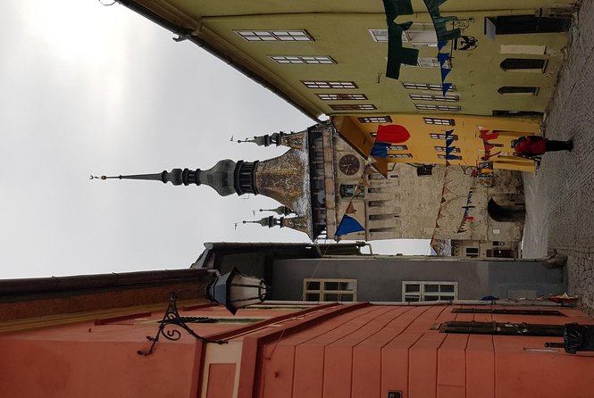 Secrets of the Citadels: Braov, Viscri, Sighioara and Sibiu - Scenic Drive Through the Carpathian Mountains