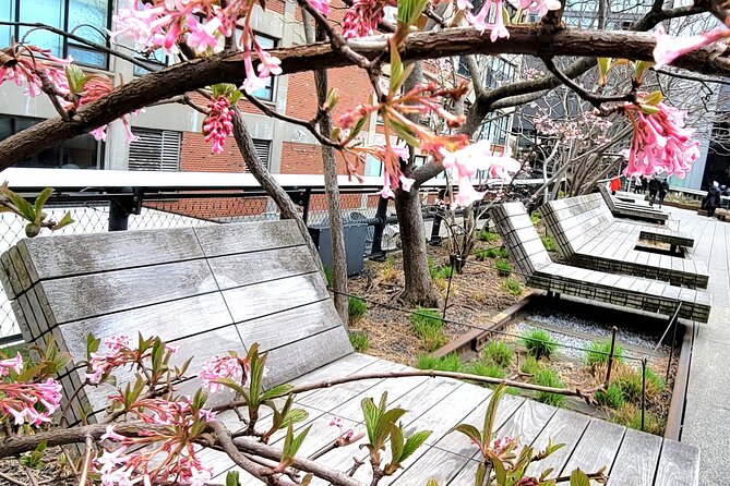 Secrets of the High Line - Visiting the Innovative Little Park on Stilts