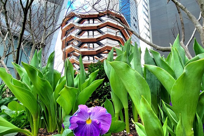 Secrets of the High Line - Practical Details: Logistics and Accessibility