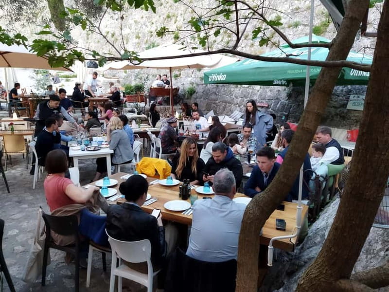 Secrets of the Old Town Bar - A Journey through Millennia - The Old Olive Tree: A Living Monument with 2,240 Years of History