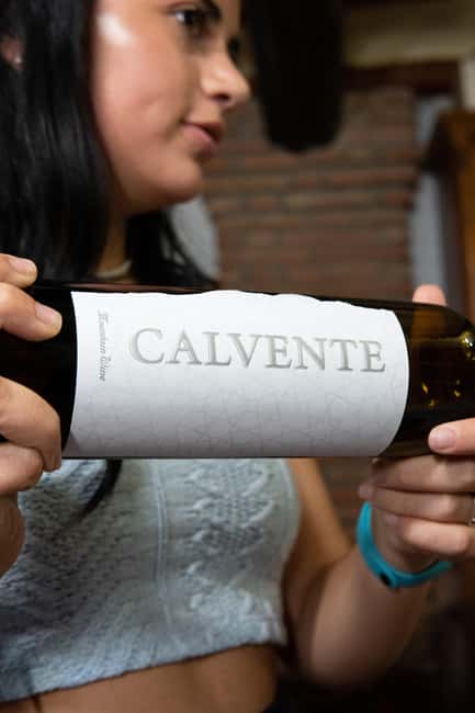 Secrets of Wine: Immersion in the Winery and Professional Tasting - Key Points