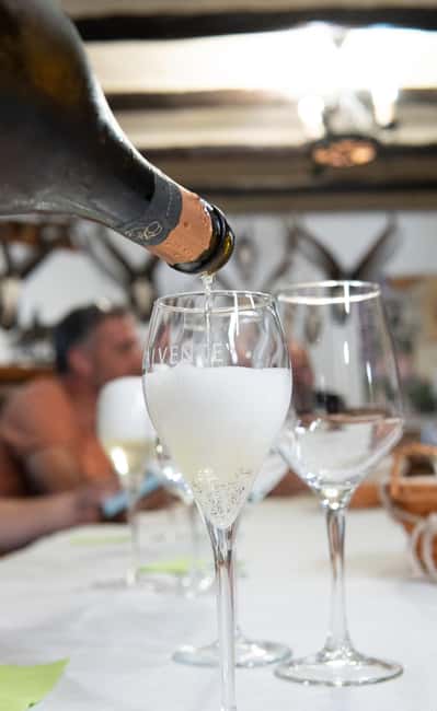 Secrets of Wine: Immersion in the Winery and Professional Tasting - Tasting of Five Premium Wines Paired with Gourmet Tapas