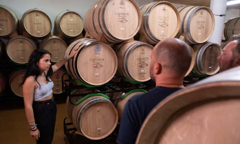 Secrets of Wine: Immersion in the Winery and Professional Tasting - The Experiences Authentic and Welcoming Environment