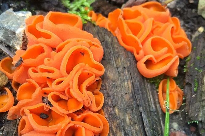 Sedona Creekside of Cathedral Rock Hike With a Private Guide - Planning Self-Guided Hikes with Free Maps