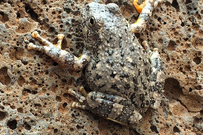 Sedona Creekside of Cathedral Rock Hike With a Private Guide - Who Should Book This Hike