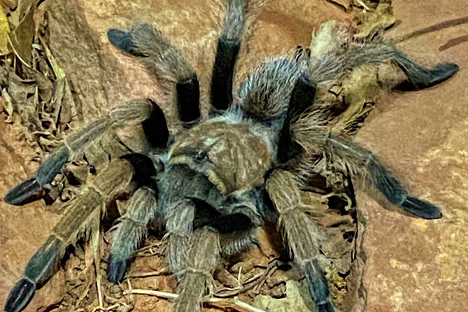 Sedona Dark Sky Sunset & Night Hike Adventure With a Private Guide - Logistics and Private Transportation