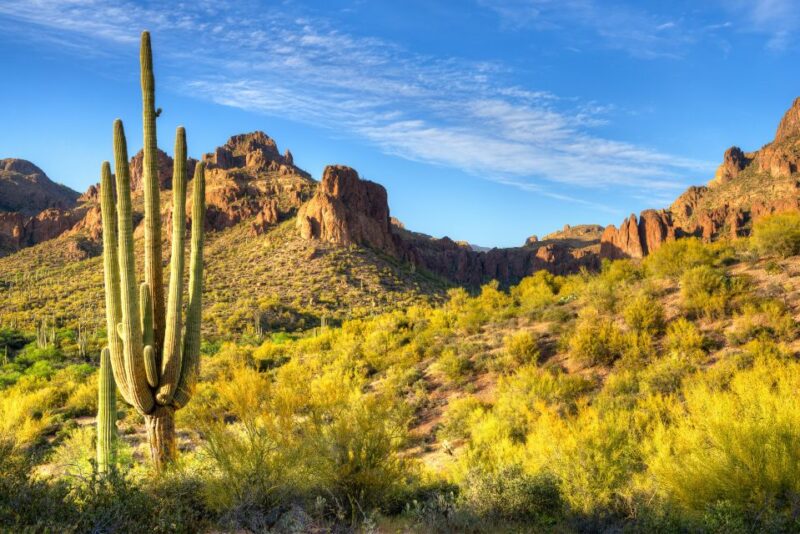 Sedona Day Trip: From Metro Phoenix / Scottsdale - Practical Details: Logistics and What to Bring