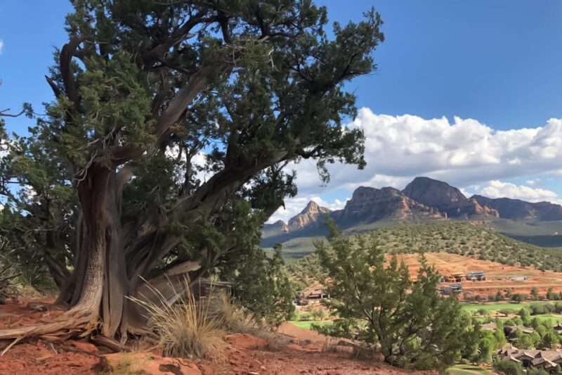 Sedona: Guided Vortex Jeep Tour - The Jeep Ride and Comfort