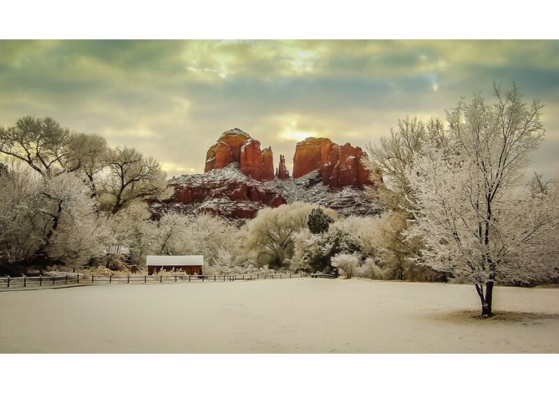 Sedona Mini Coach Tour - Tour Feedback and Overall Ratings
