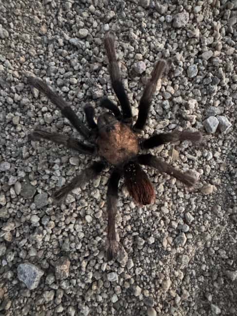 Sedona Night Hike and Stargazing Tour - Who Should Consider This Night Hike and Stargazing Tour