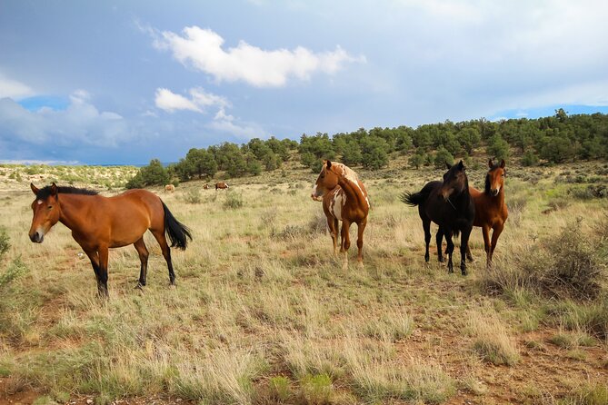 Sedona Private Custom Tour - Explore Sedona’s Scenic Wonders in a Private, Fully Customizable Day Tour