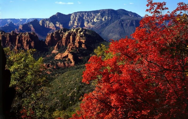 Sedona: PRIVATE Pavement 2-Hour Highlights Jeep Tour - Logistics: Meeting Point, Group Size, and Booking Flexibility