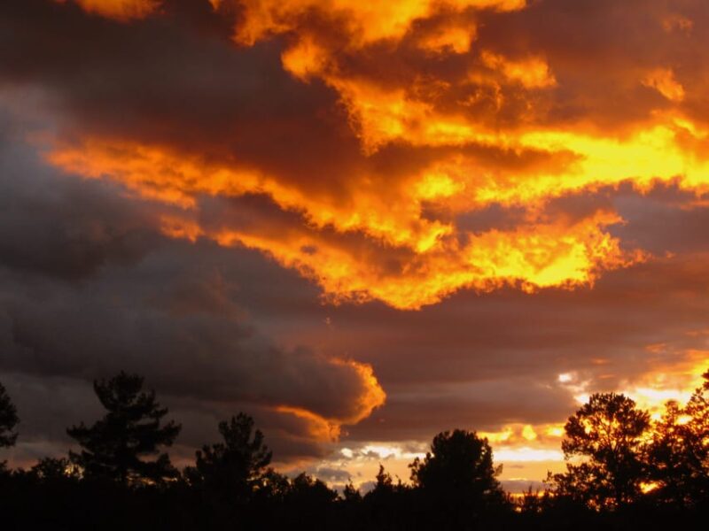 Sedona: PRIVATE Pavement 2-Hour Highlights Jeep Tour - The Value and Who Will Enjoy This Tour