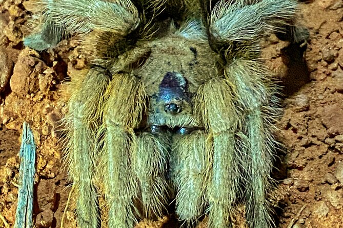 Sedona Sacred Canyons Loop Hike With a Private Guide - Gear and Extras: Comfort and Safety for Every Season