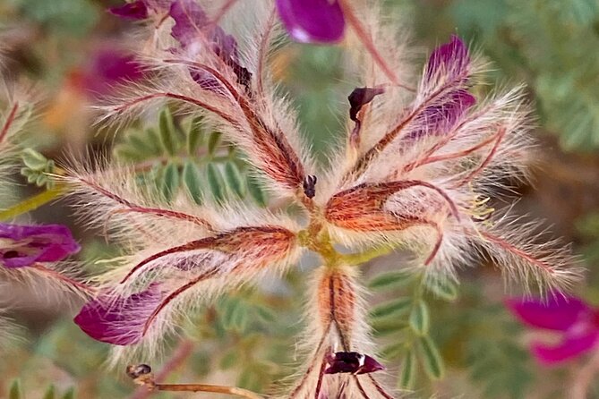 Sedona Sacred Canyons Loop Hike With a Private Guide - Logistics: Seamless Pickup and Parking Included