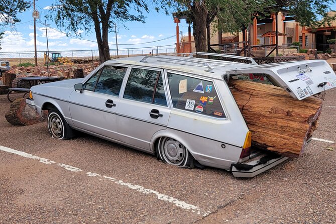 Sedona to Petrified Forest/Painted Desert Adventure PRIVATE TOUR! - Exploring the Petrified Forest National Park