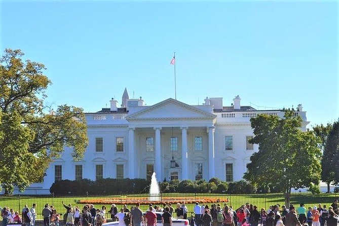 See DC In A Day: Guided Small Group Ultimate Day Tour - Accessibility and Physical Demands