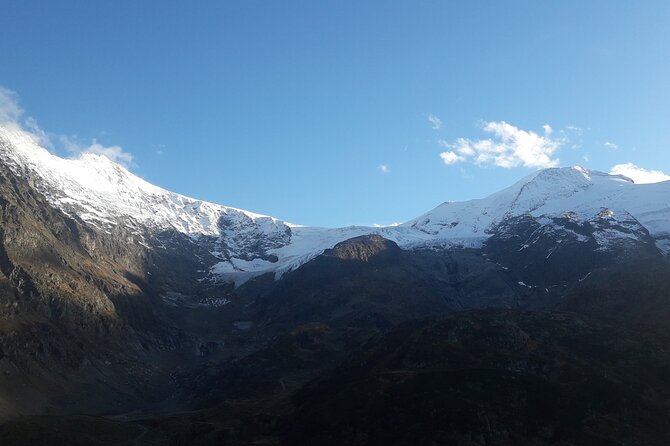 See It All Sightseeing Tour All Tickets included Private - Visiting Lake Brienz and Encountering Local Wildlife