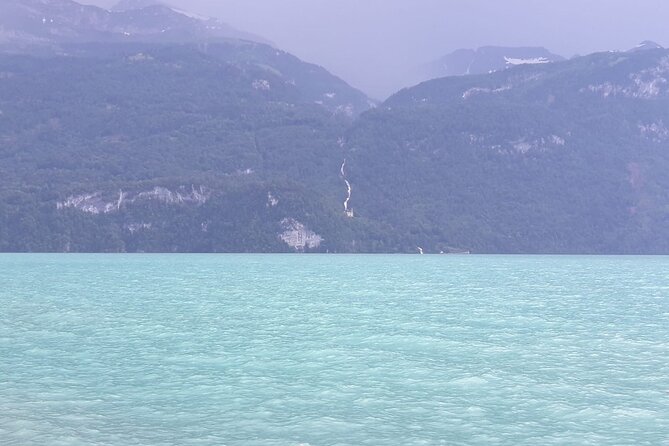 See It All Sightseeing Tour All Tickets included Private - Scenic Stops at Meiringen and Reichenbach Waterfall