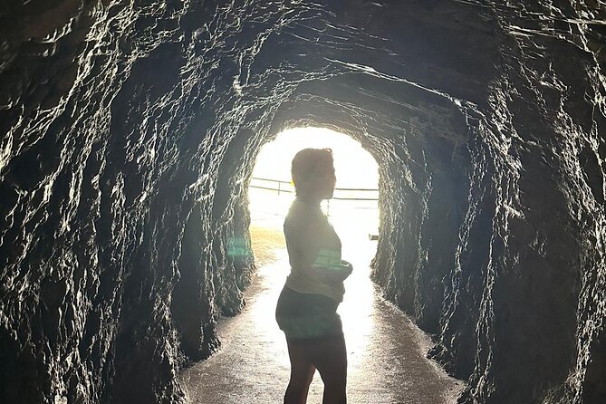 See It All Sightseeing Tour All Tickets included Private - Climbing and Discovering Stein Glacier