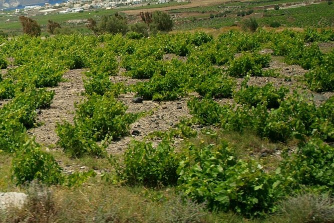 See Santorini in 4 hours - Tailor made tour!!! - Discovering Local Heritage at Lignos Folklore Museum