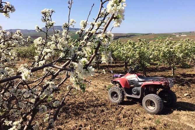 Segesta Quad Tour - Exploring the Thermal Springs at Crimiso