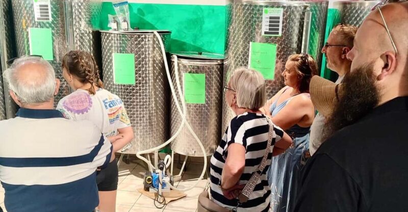 Seggiano: Extra Virgin Olive Oil Museum Visit and Tasting - The Experience at the Olive Oil Museum