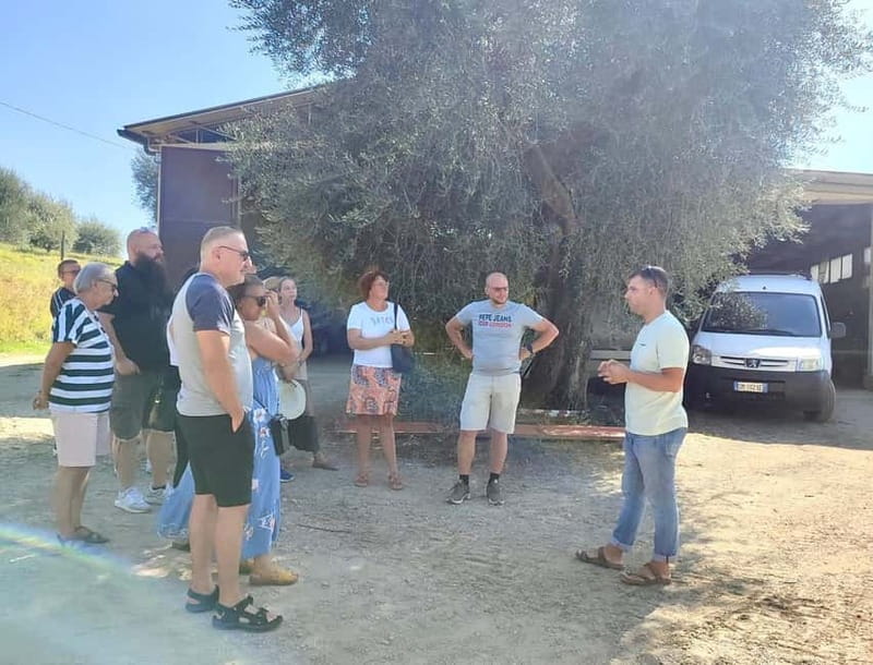 Seggiano: Guided Tour of the Olive Grove and Food Tasting - Practical Details and Booking Flexibility
