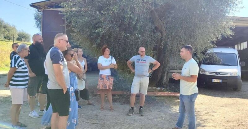 Seggiano: Typical Tuscan Farm Tour with Olive Oil Tasting - An Authentic Tuscan Farm Tour in Seggiano